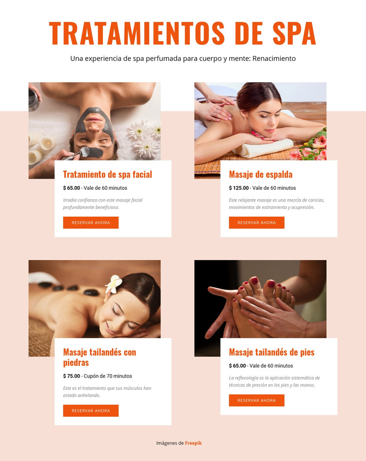 Diferentes tratamientos de spa Plantilla de sitio web