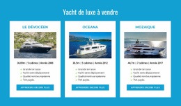 Yachts De Luxe À Vendre