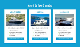 Modèle CSS Pour Yachts De Luxe À Vendre