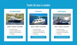 Yachts De Luxe À Vendre Modèle Psd