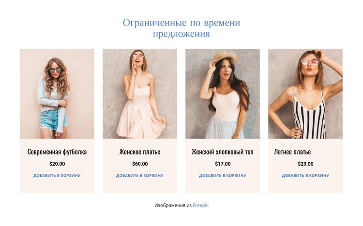 Ограниченные по времени предложения Шаблон веб-сайта