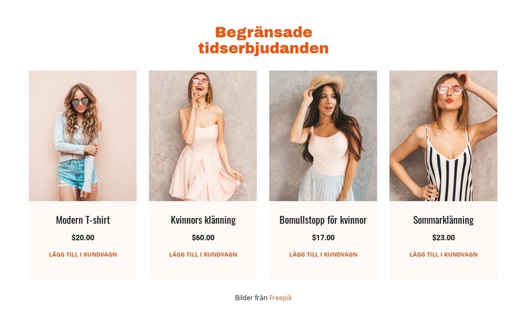 Begränsade tidserbjudanden Webbplats mall