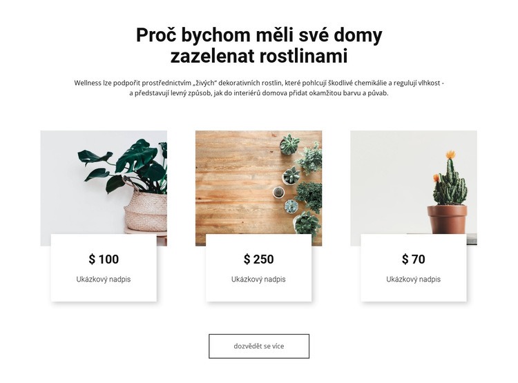 Ekologizace našich domovů Téma WordPress