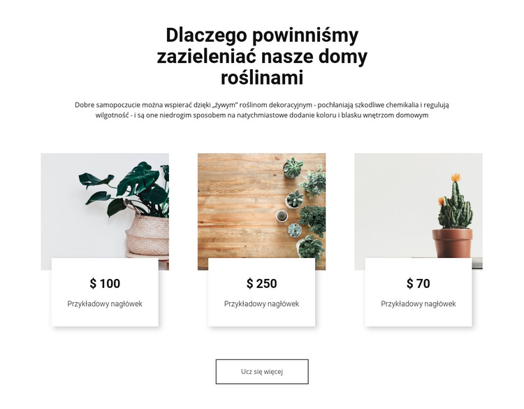 Ekologizacja naszych domów Motyw WordPress