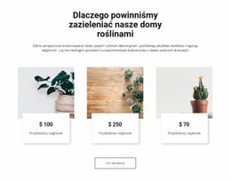 Darmowy Szablon Online Dla Ekologizacja Naszych Domów