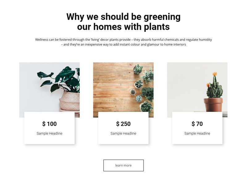 Greening our homes Squarespace Template Alternative