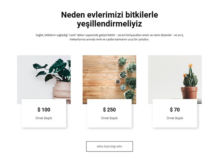 Evlerimizi yeşillendirmek CSS Şablonu