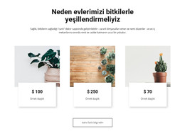 Evlerimizi Yeşillendirmek - HTML Sayfası Şablonu