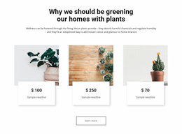 Website Design For Greening Our Homes