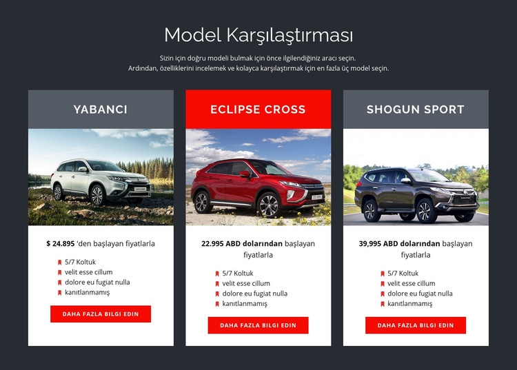 Model Karşılaştırması Web sitesi tasarımı