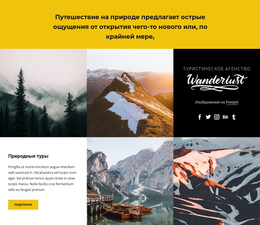Потрясающая Тема WordPress Для Необычные Праздники