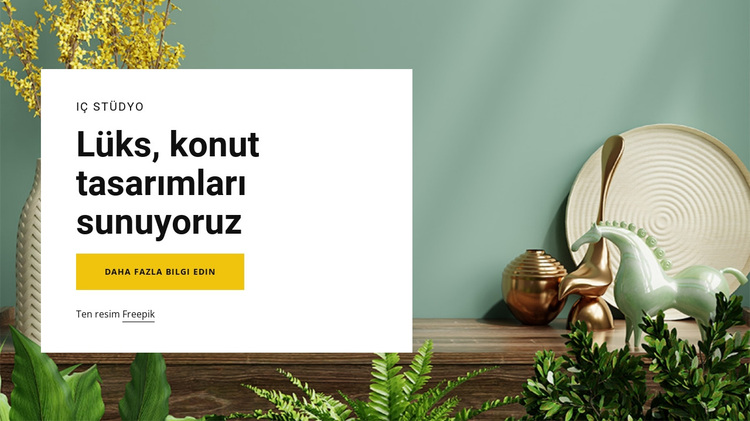 Lüks tasarımlar sunuyoruz WordPress Teması