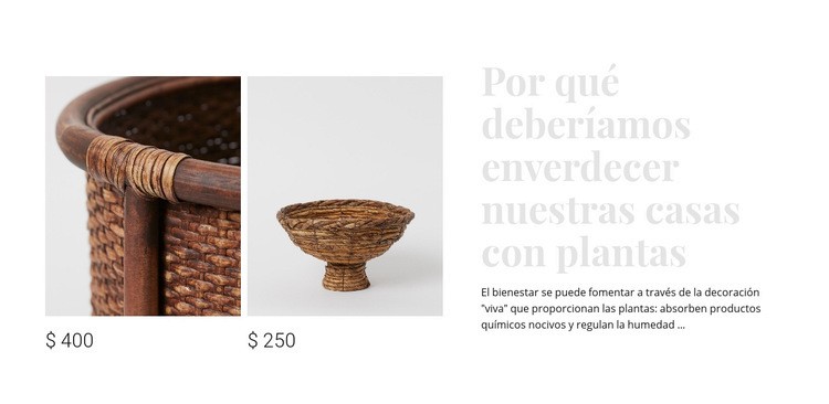 Tienda interior Plantilla HTML5