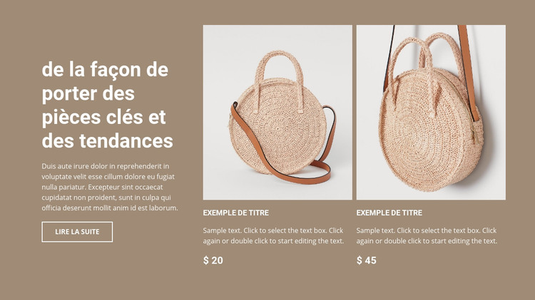 Nouvelle collection de sacs Modèle HTML