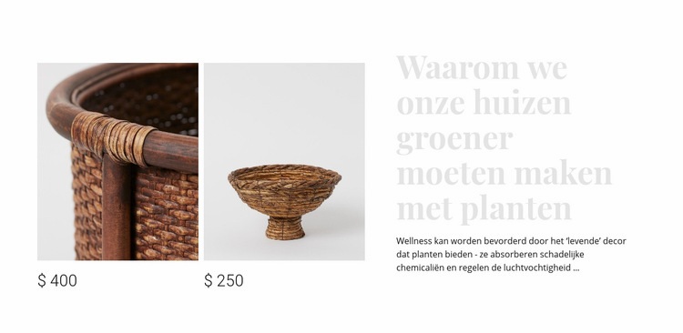 Interieur winkel Website mockup