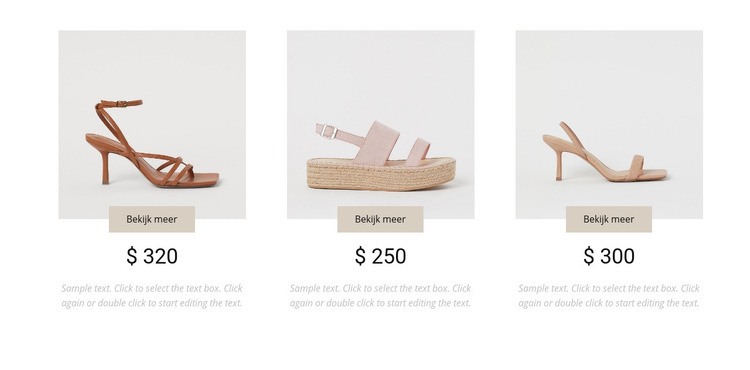 Collectie vrouwelijke schoenen Website ontwerp