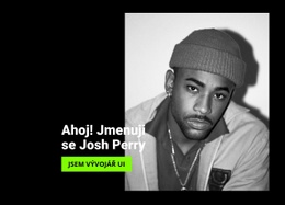 O Našem Vývojáři - Plně Responzivní Šablona