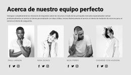 Conoce A Nuestros Maestros Estilistas - Hermoso Diseño De Sitio Web