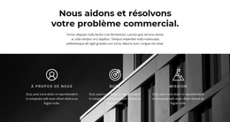 Nos Objectifs Et Victoires – Thème WordPress Et WooCommerce