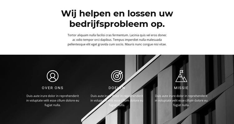 Onze doelen en overwinningen Website mockup