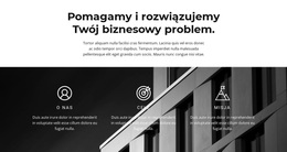 Nasze Cele I Zwycięstwa – Motyw WordPress I WooCommerce