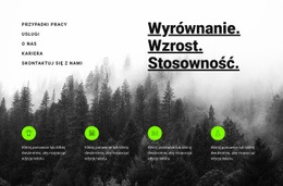 Wprowadzenie Z Usługami – Strona Docelowa E-Commerce