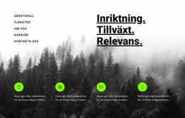 Intro Med Tjänster Mall