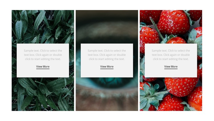 Nature and healthy CSS Template