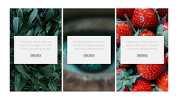 Nature And Healthy Google Fonts