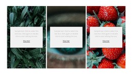 Natur Och Hälsosam - Premium WordPress-Tema