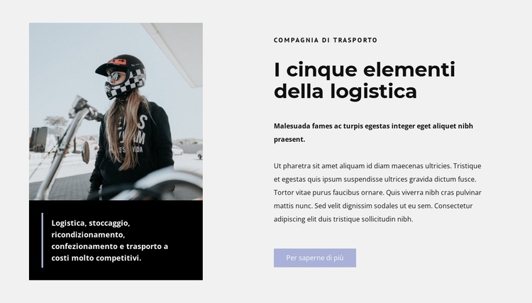 Piloti di moto Mockup del sito web