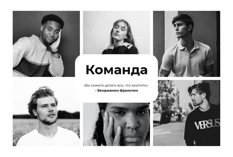 Шесть лучших команд WordPress тема