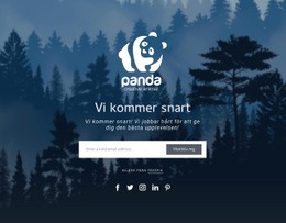 Kommer Snart Mall - Nedladdning Av Webbplatsmall