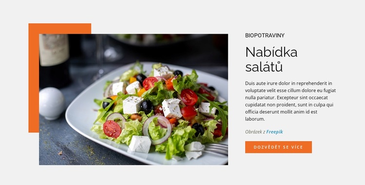 Nabídka salátů Šablona webové stránky