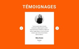 Maquette De Site Web La Plus Créative Pour Commentaires Dans Le Curseur