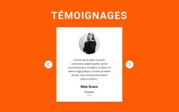 Commentaires Dans Le Curseur – Modèle Gratuit