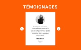 Commentaires Dans Le Curseur Modèle De Magasin