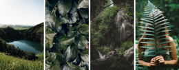 Gallery With Jungle Nature - Responsive Website Templates