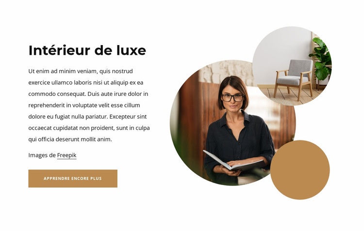 Intérieur de luxe Maquette de site Web