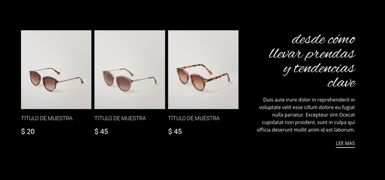 Nueva colección de gafas de sol Plantilla CSS
