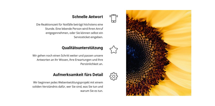 Qualität und Sicherheit Website-Vorlage