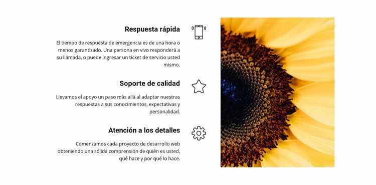 Calidad y seguridad Plantillas de creación de sitios web