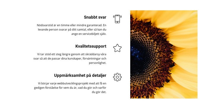 Kvalitet och säkerhet CSS -mall