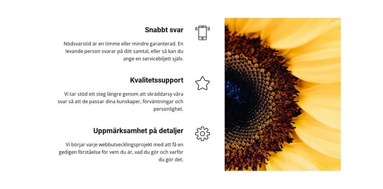 Kvalitet och säkerhet Hemsidedesign