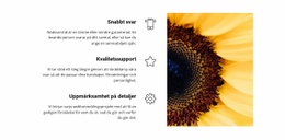 Kvalitet Och Säkerhet - Webbplatsmall För Företagspremium