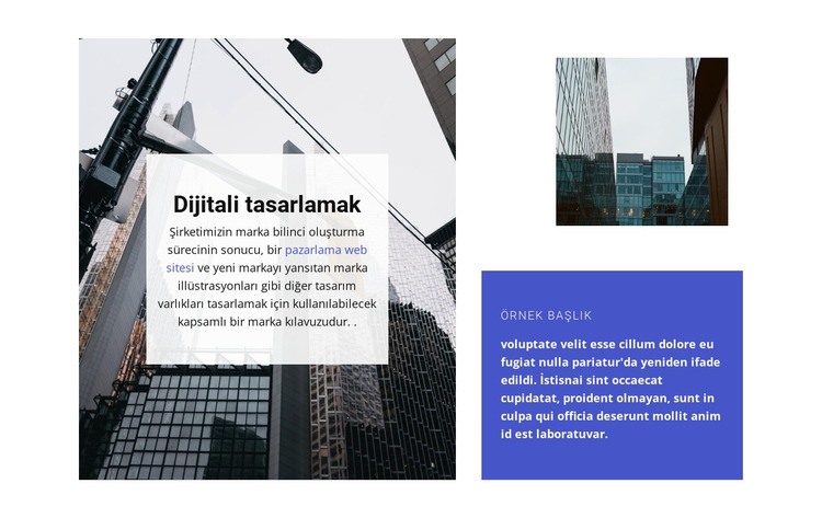 Pazar rekabeti Web sitesi tasarımı