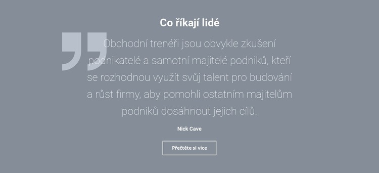 Ohlasy a recenze klientů Šablona CSS