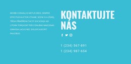 Kontaktujte Náš Tým Podpory – Nejlepší Bezplatný Motiv WordPress