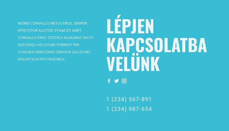 Lépjen kapcsolatba támogatási csapatunkkal HTML Sablon