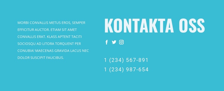 Kontakta vårt supportteam WordPress -tema